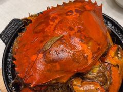 -新吉士·上海菜(浦东LCM置汇旭辉店)