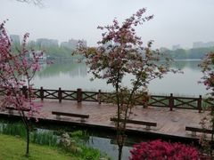 -食膳公园包子铺(烈士公园店)