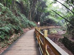 -凤栖山