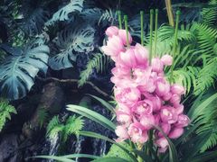 -华南国家植物园-售票处