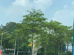 -东莞塘厦三正半山酒店-沙利文西餐厅