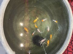 -张一元(世纪金源购物中心东区店)