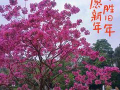 -中国科学院华南植物园