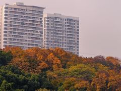 -重庆彩云湖湿地公园