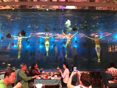 -瑞德姆美人鱼海底演艺主题餐厅(亚龙湾店)