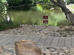 -成都市活水公园