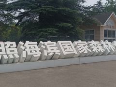 -日照海滨国家森林公园