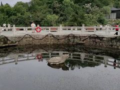 -白马涧龙池景区