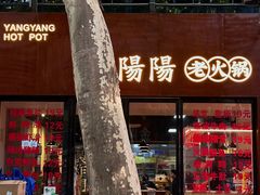 -阳阳老火锅(小南门店)