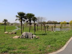 -扬子江公园