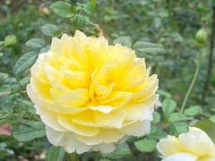 -人民公园(罗湖区)