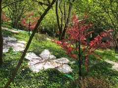 -南山植物园