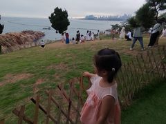 -小麦岛公园