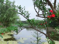 -昆山城市生态森林公园