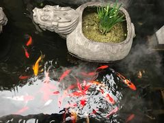 -三只耳火锅(宽窄巷子店)