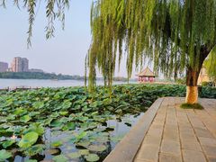 -济南大明湖景区