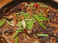 -老板恋上鱼(振华商厦店)