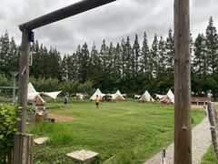 -前小桔亲子创意农场·草莓采摘·露营烧烤