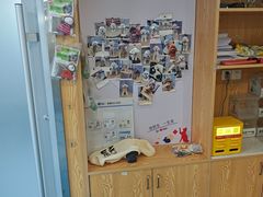 -宠颐生宠物医院·异宠猫科内科·诊疗中心宠巢店