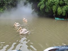 -广州长隆飞鸟乐园