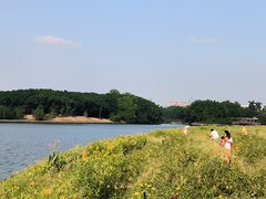 -海珠湖公园
