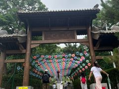 -阳台山自然风景区