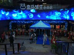门面-盒马鲜生(杭州运河上街店)
