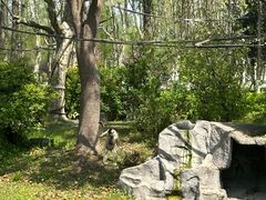 -上海野生动物园