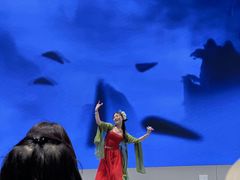 -东北大学附属辽宁爱尔眼科医院