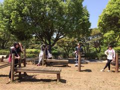 iphone_upload_pic-汉拿树木园