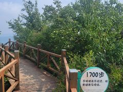 -大岭沟猕猴桃谷风景区