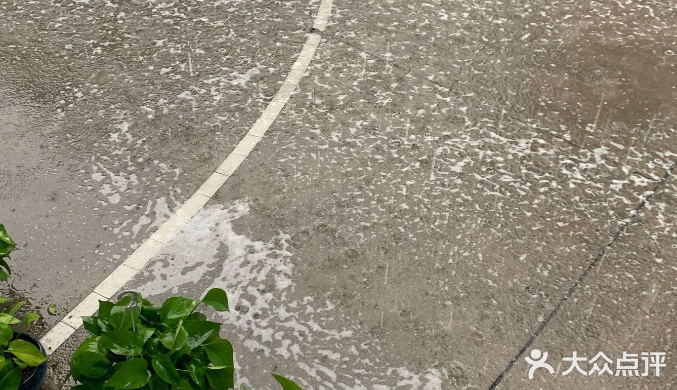 地上老是超级多的泡泡 看起来超级无敌的脏