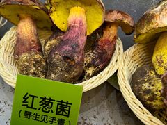 -菌海森林·非遗野生菌火锅(西山区滇池路摩根道店)