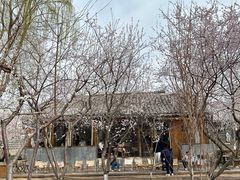-春风习习