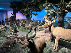 -国家自然博物馆