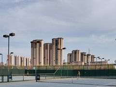 -大连体育中心体育馆