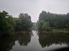 -溱湖国家湿地公园