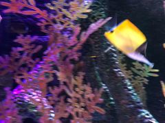 -沈阳海洋探索中心