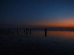 -奉贤海滩