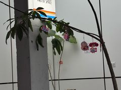 -有趣人类咖啡(永庆坊店)