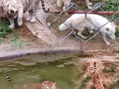 -石家庄市动物园