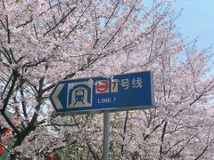 -杨高南路(地铁站)