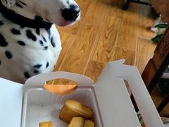 凤凰酥-小潘蛋糕坊 板桥和平店