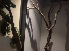 -上足·影院足道·SPA(红岭店)