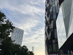 -远洋未来汇