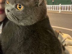 -芭比堂爱心动物医院·心脏科·犬猫内科(越城可乐分院)