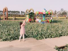 -迪茵湖田家舍生态农场