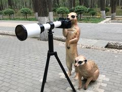 -北京野生动物园