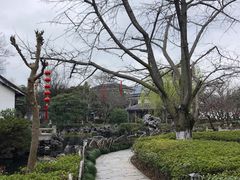 -东山雕花楼