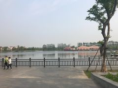 -上海长兴岛郊野公园